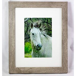 Arizona Salt River Wild Horses White Mustang Framed 5x7in Photo Wood Frame